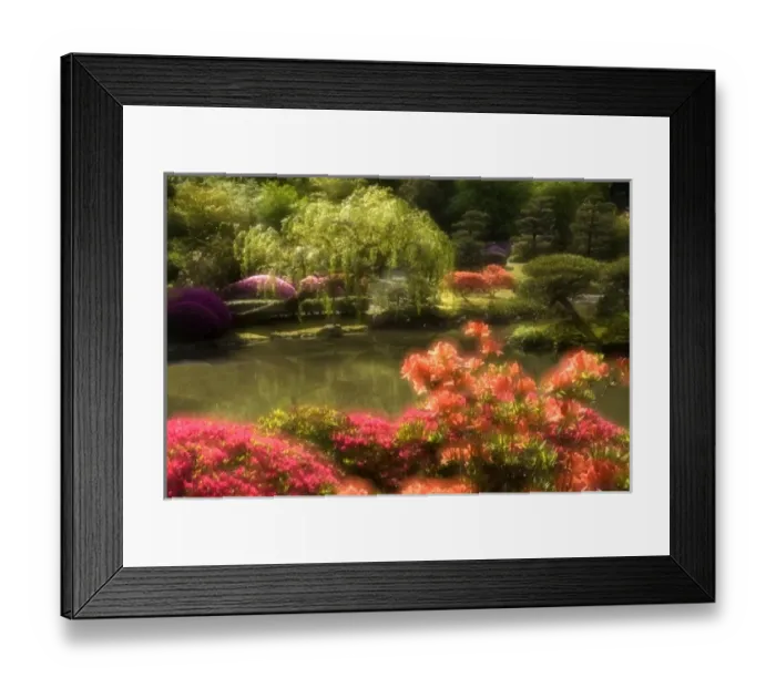 Framed Print : Double Exposure of Japanese Garden and Pond Framed Print : Double Exposure of Japanese Garden and Pond