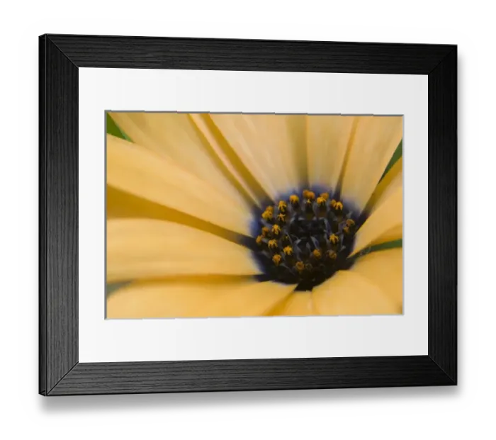 Framed Print : USA, North America, Washington