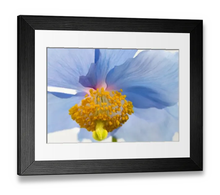 Framed Print : USA, North America, Washington Framed Print : USA, North America, Washington