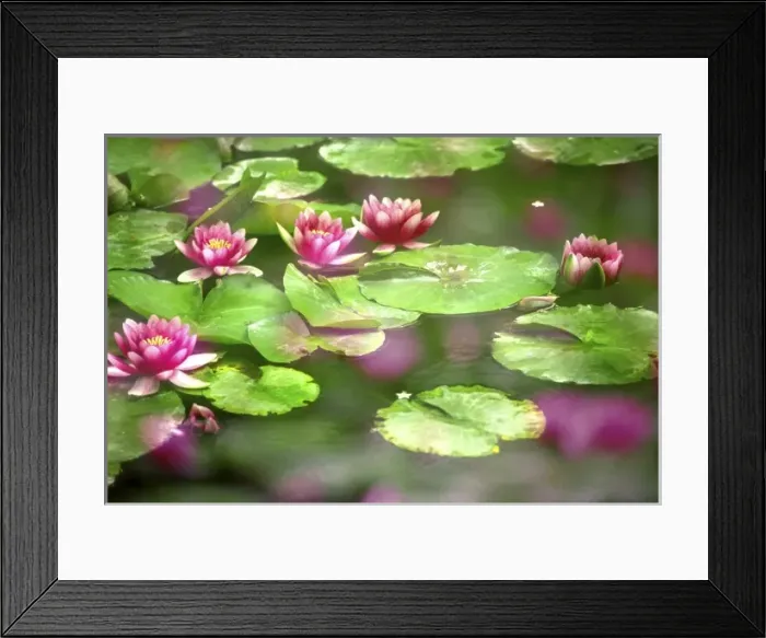 Framed Print : USA, North America, Washington
