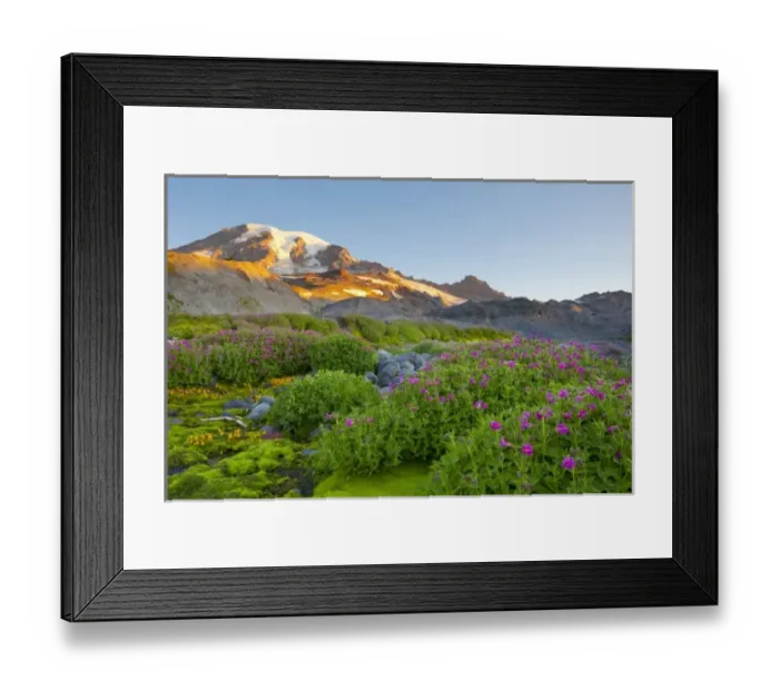 Framed Print : USA, North America, Washington Framed Print : USA, North America, Washington