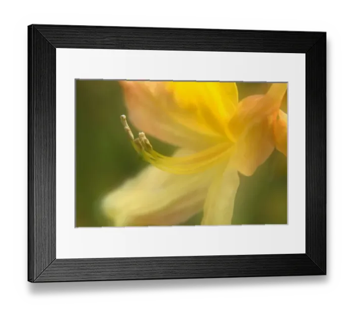 Framed Print : USA, North America, Washington