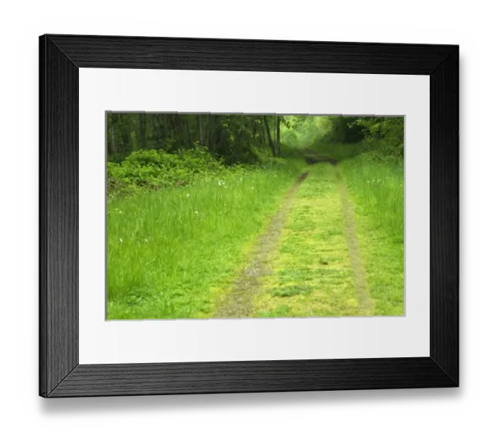 Framed Print : USA, North America, Washington