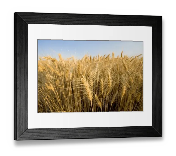 Framed Print : USA, North America, Washington Framed Print : USA, North America, Washington