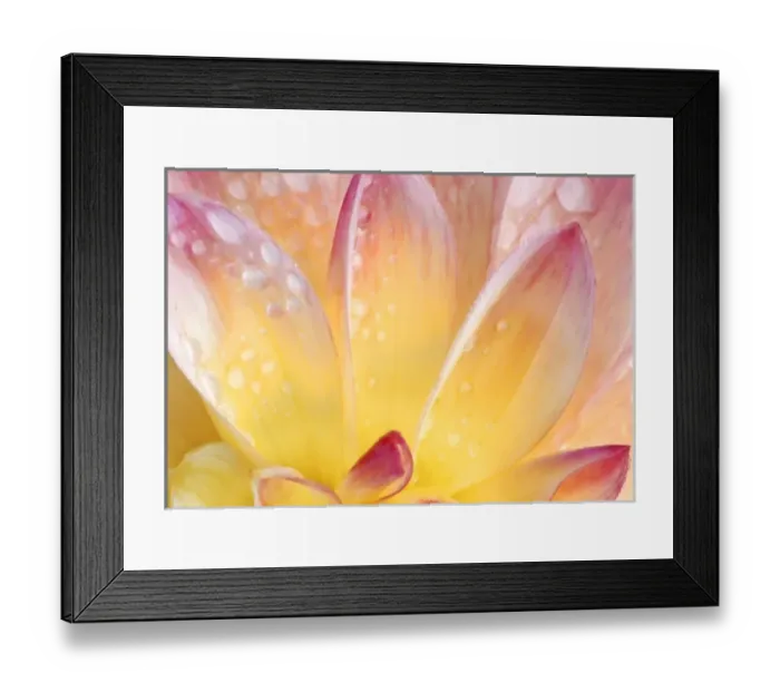 Framed Print : USA, North America, Washington