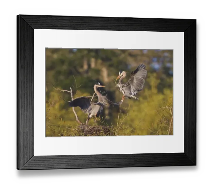 Framed Print : USA, North America, Washington Framed Print : USA, North America, Washington