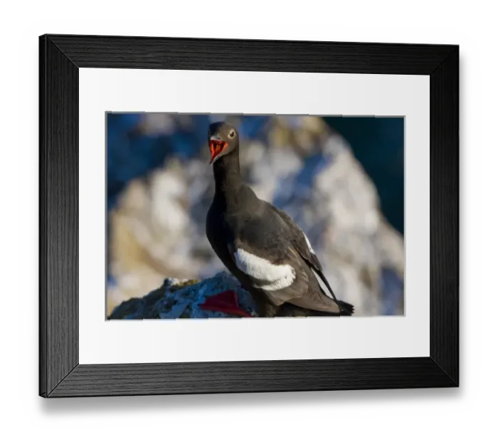 Framed Print : USA, North America, Washington