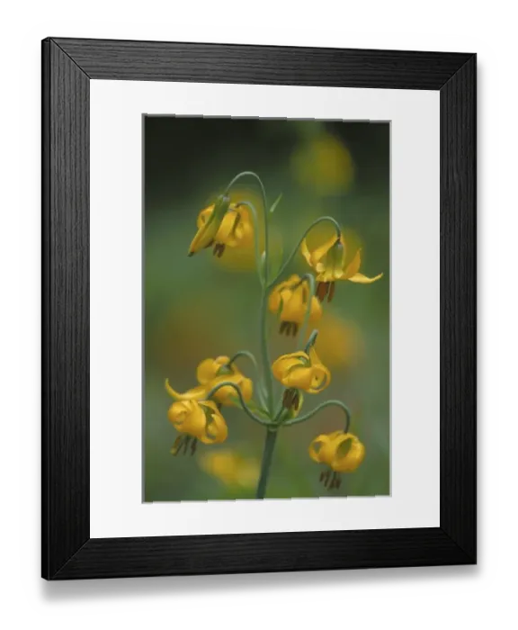 Framed Print : USA, North America, Washington