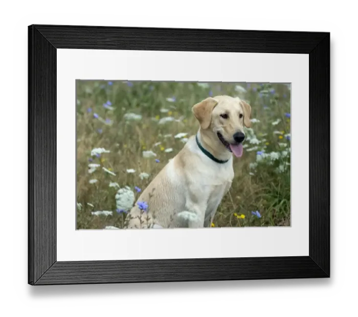 Framed Print : USA, North America, Washington Framed Print : USA, North America, Washington