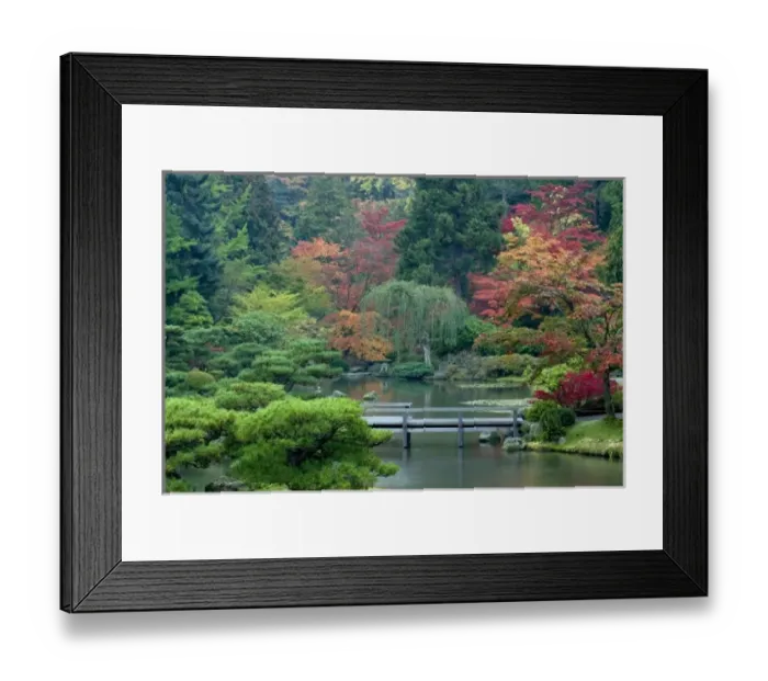 Framed Print : Japanese Garden at the Washington Park Arboretum, Seattle, Washington, USA Framed Print : Japanese Garden at the Washington Park Arboretum, Seattle, Washington, USA
