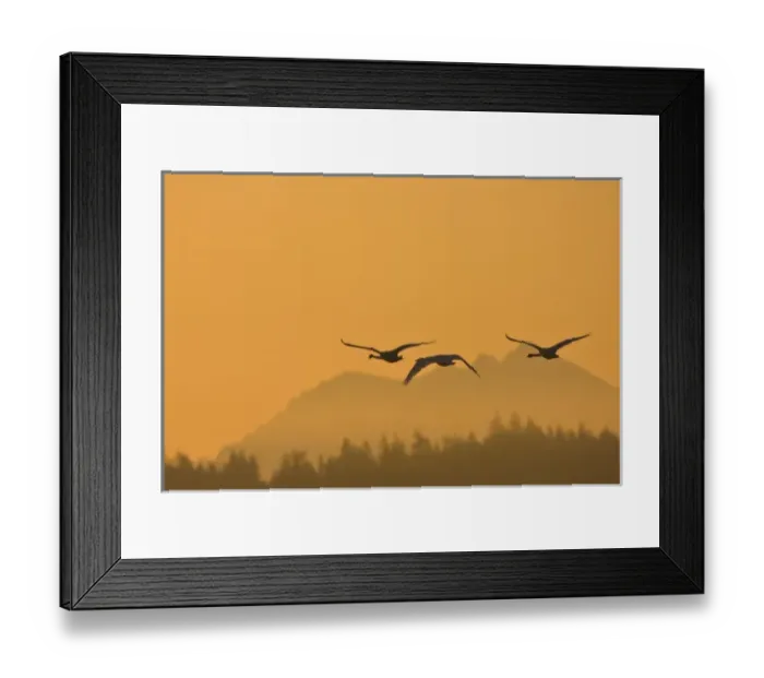 Framed Print : USA, North America, Washington Framed Print : USA, North America, Washington