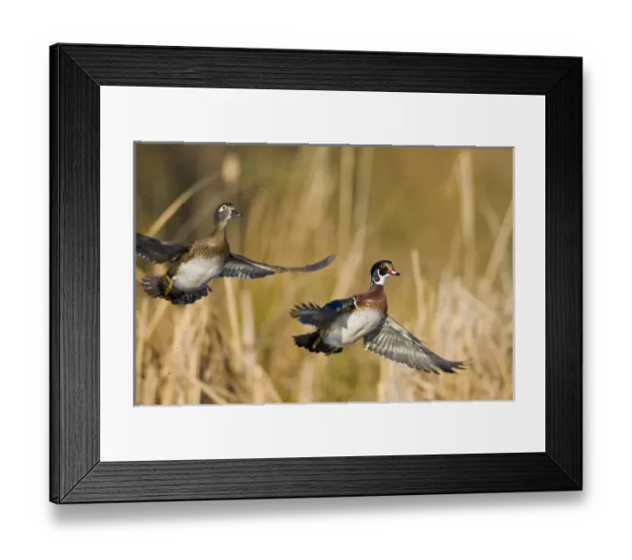Framed Print : USA, North America, Washington Framed Print : USA, North America, Washington
