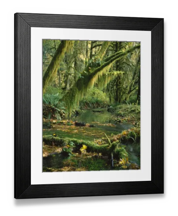 Framed Print : USA, North America, Washington