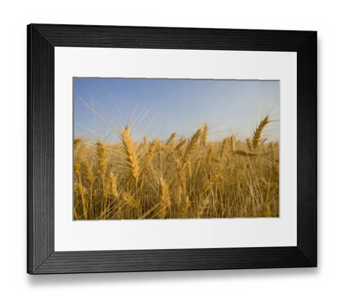 Framed Print : USA, North America, Washington Framed Print : USA, North America, Washington