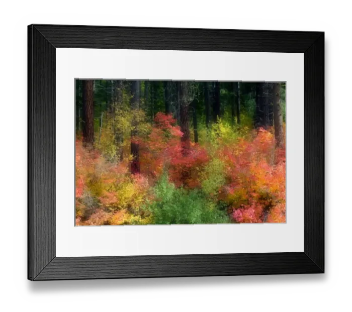 Framed Print : Wenatchee National Forest in Autumn, Washington, USA