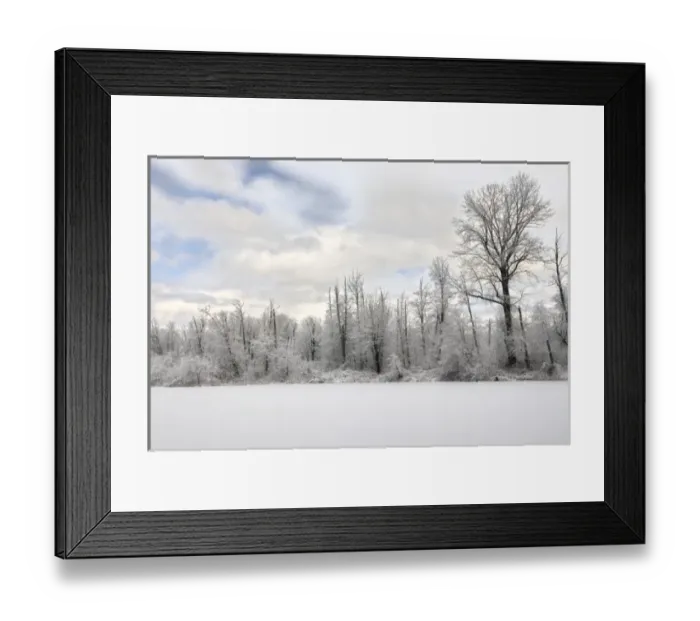 Framed Print : Trees and pond covered in snow, Snoqualmie, Washington Framed Print : Trees and pond covered in snow, Snoqualmie, Washington