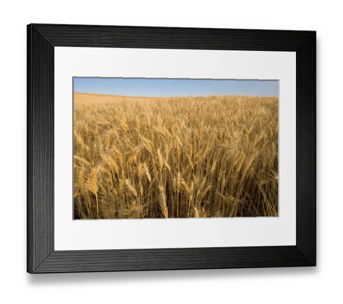 Framed Print : USA, North America, Washington Framed Print : USA, North America, Washington
