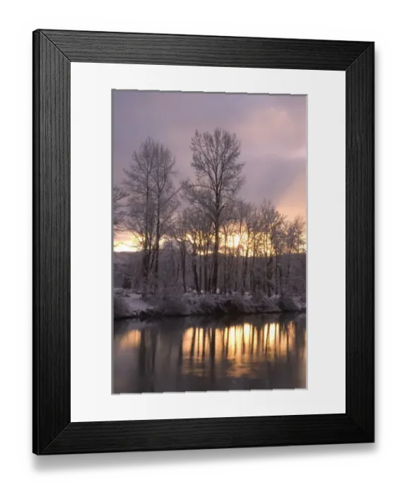 Framed Print : Sunset behind snow dusted trees reflecting in the Snoqualmie River, Washington