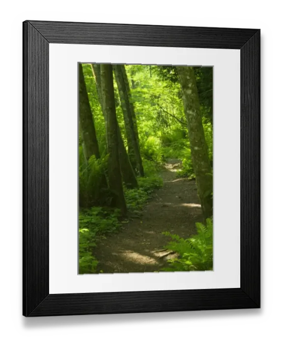 Framed Print : USA, North America, Washington Framed Print : USA, North America, Washington