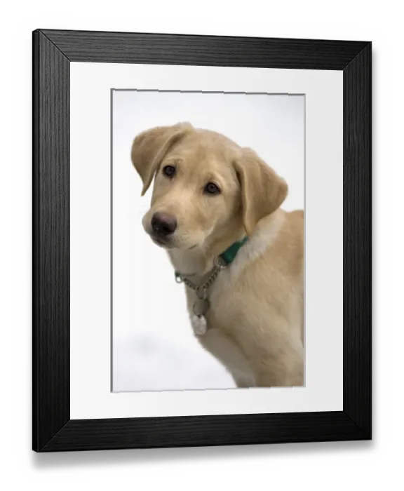 Framed Print : USA, North America, Washington