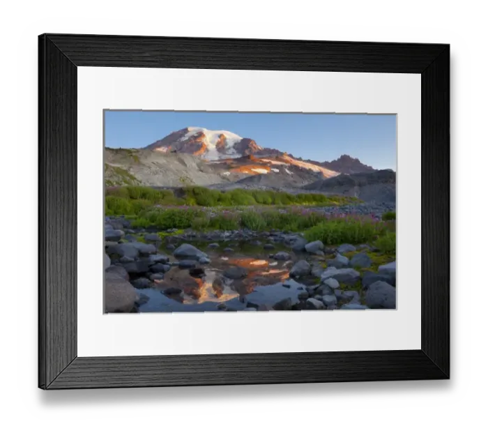 Framed Print : USA, Mt. Rainier National Park, Washington. Mt. Rainier reflected in pool along panorama trail Framed Print : USA, Mt. Rainier National Park, Washington. Mt. Rainier reflected in pool along panorama trail