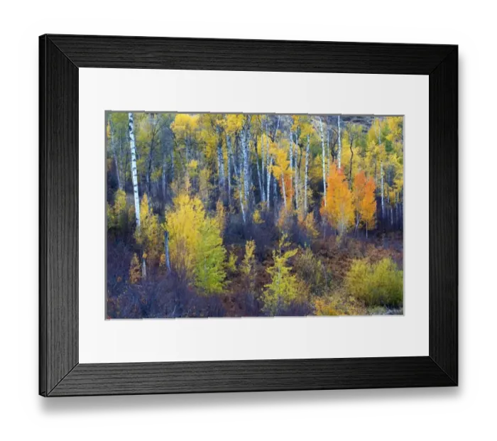 Framed Print : USA, North America, Washington Framed Print : USA, North America, Washington