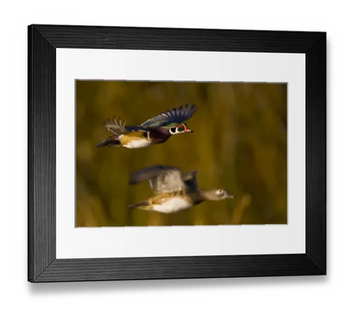 Framed Print : USA, North America, Washington Framed Print : USA, North America, Washington