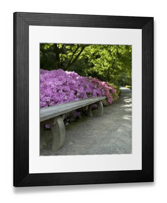 Framed Print : Bench along Path at Japanese Garden Framed Print : Bench along Path at Japanese Garden