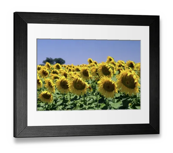Framed Print : South America, Argentina Framed Print : South America, Argentina