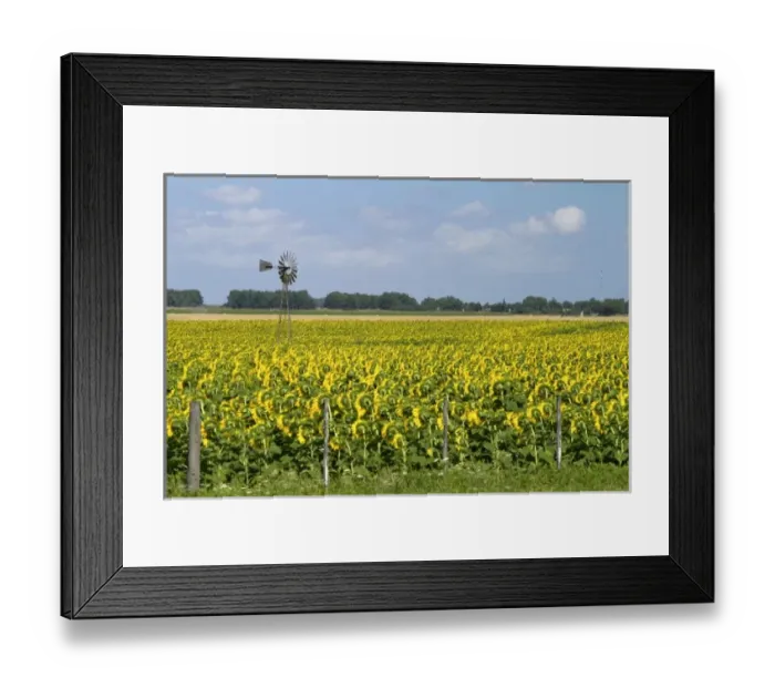 Framed Print : South America, Argentina