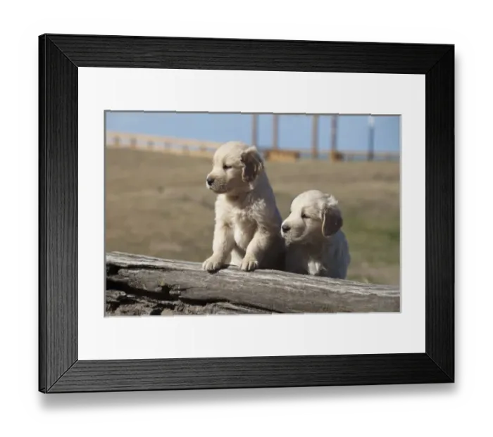 Framed Print : South America, Argentina Framed Print : South America, Argentina