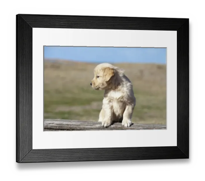 Framed Print : South America, Argentina