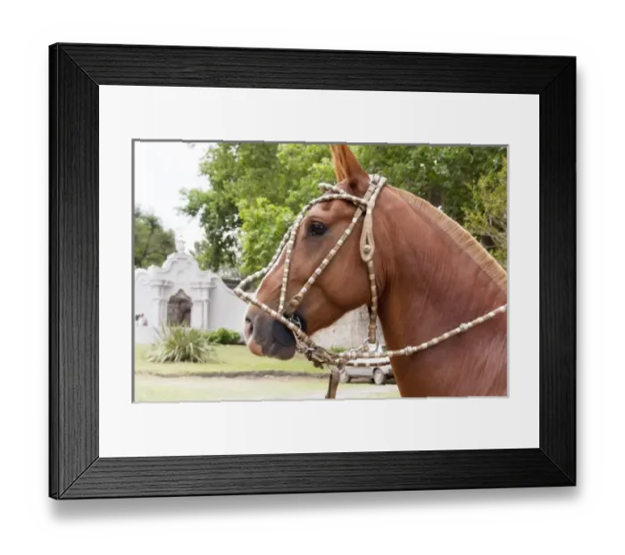 Framed Print : Argentina, Cordoba, religious procession with gauchos at Estancia Jesuitica Santa Catalina Framed Print : Argentina, Cordoba, religious procession with gauchos at Estancia Jesuitica Santa Catalina