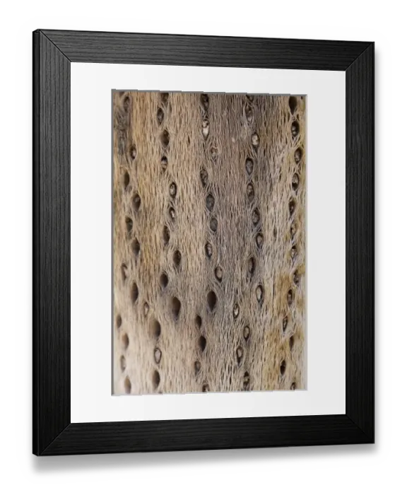 Framed Print : South America, Argentina Framed Print : South America, Argentina