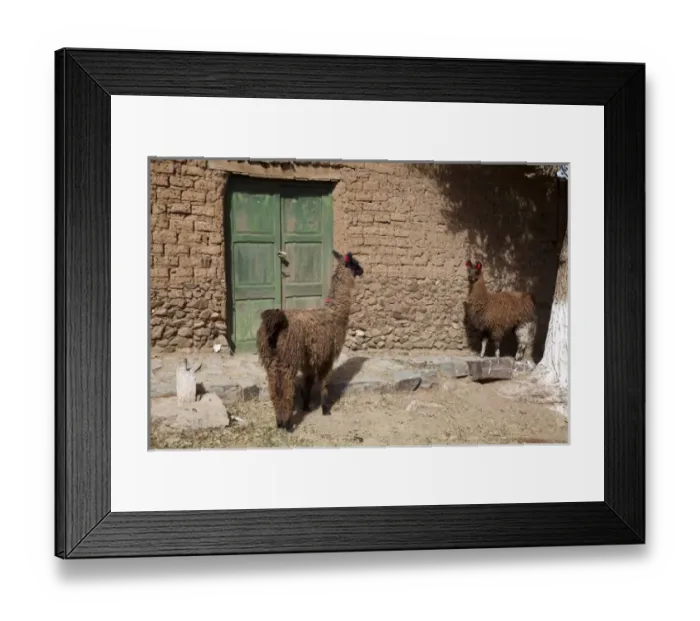 Framed Print : South America, Argentina Framed Print : South America, Argentina