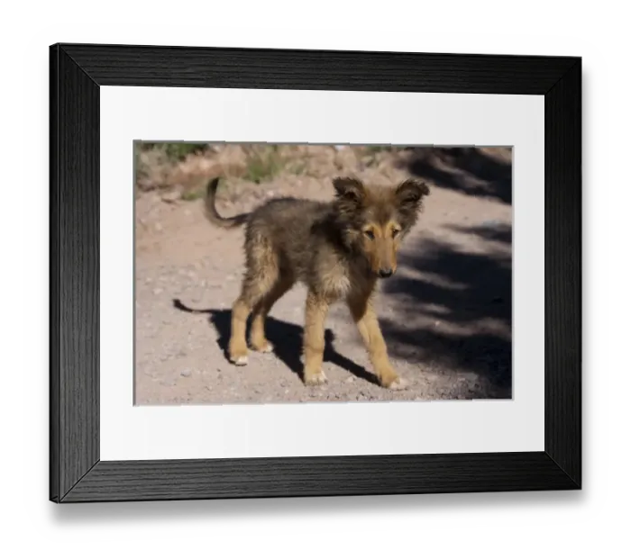 Framed Print : South America, Argentina Framed Print : South America, Argentina