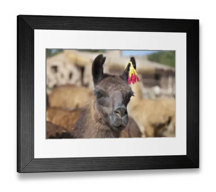 Framed Print : South America, Argentina