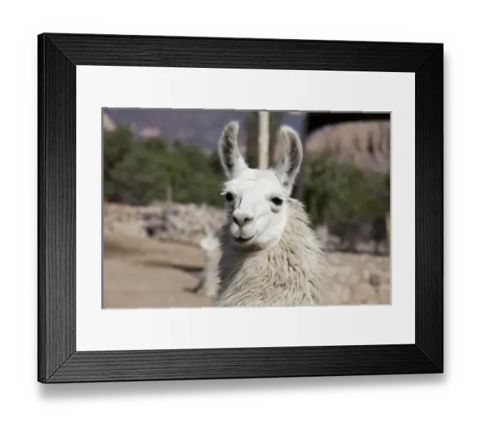 Framed Print : South America, Argentina Framed Print : South America, Argentina