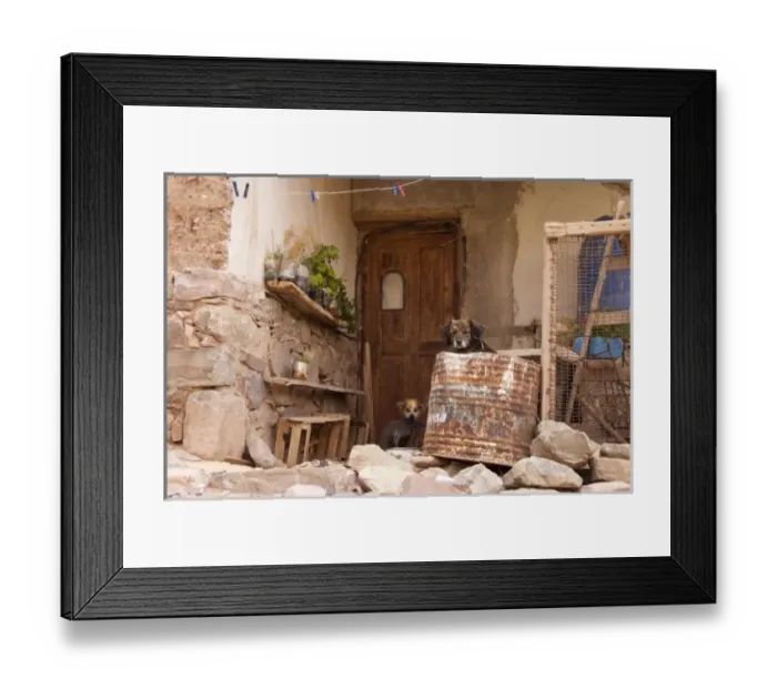 Framed Print : Argentina, Jujuy, Tilcara, street dogs at the entrance of an adobe house Framed Print : Argentina, Jujuy, Tilcara, street dogs at the entrance of an adobe house