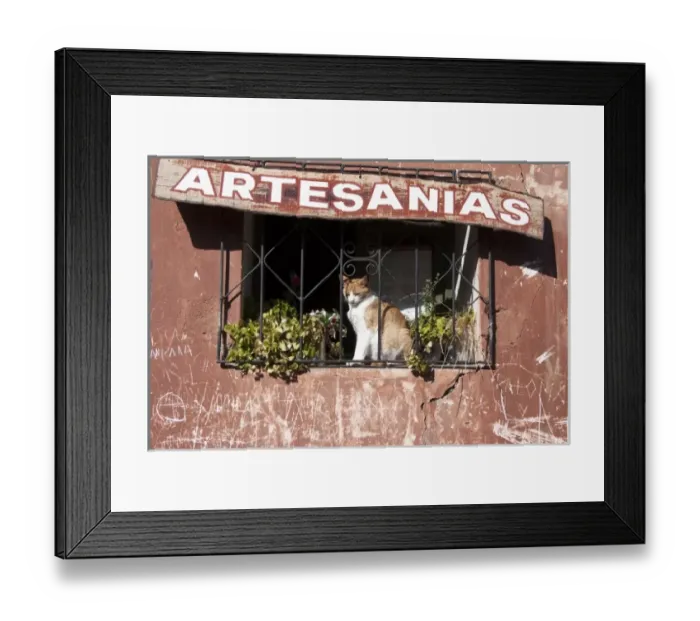 Framed Print : Argentina, Salta, Iruya, cat at a window Framed Print : Argentina, Salta, Iruya, cat at a window