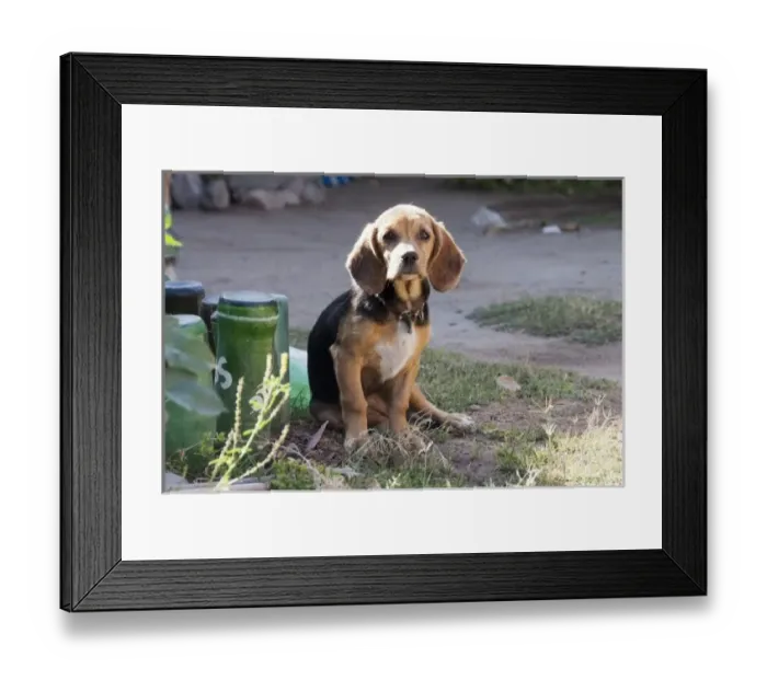 Framed Print : South America, Argentina Framed Print : South America, Argentina