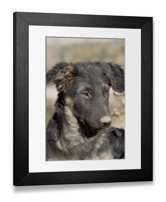 Framed Print : South America, Argentina Framed Print : South America, Argentina