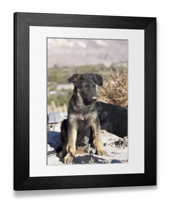 Framed Print : South America, Argentina