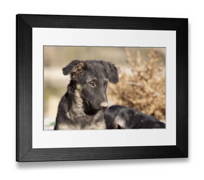 Framed Print : South America, Argentina Framed Print : South America, Argentina
