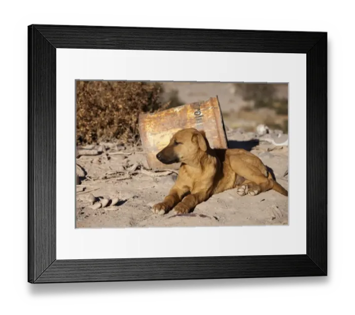 Framed Print : South America, Argentina