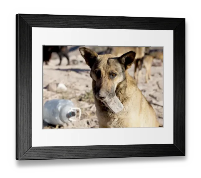Framed Print : South America, Argentina Framed Print : South America, Argentina