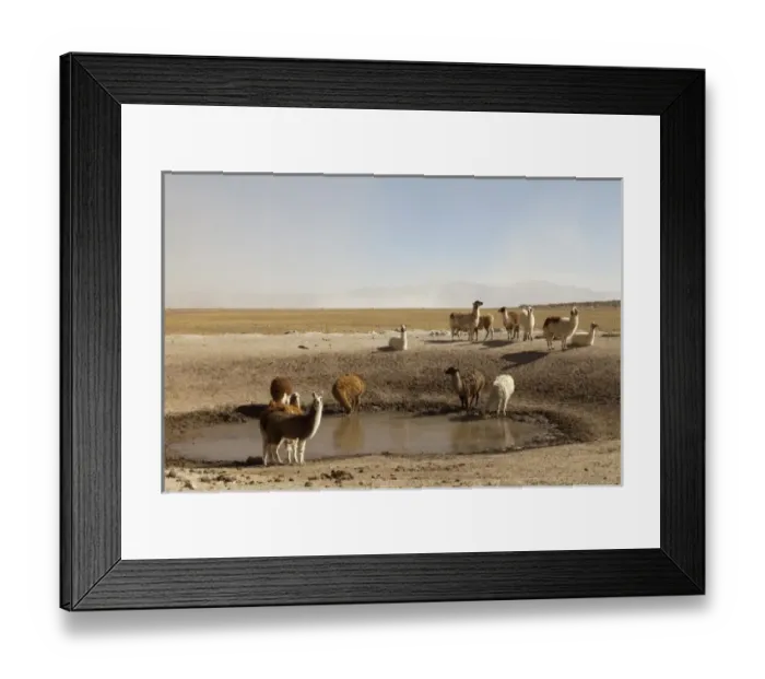 Framed Print : South America, Argentina Framed Print : South America, Argentina