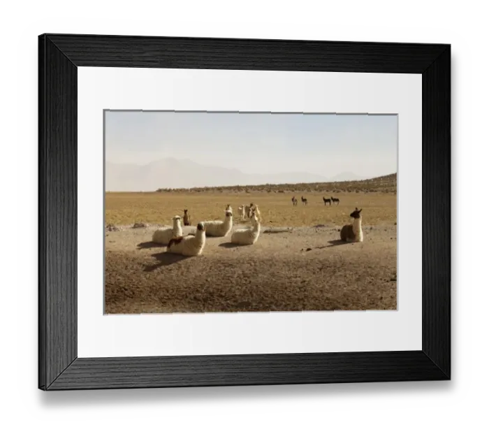 Framed Print : South America, Argentina Framed Print : South America, Argentina