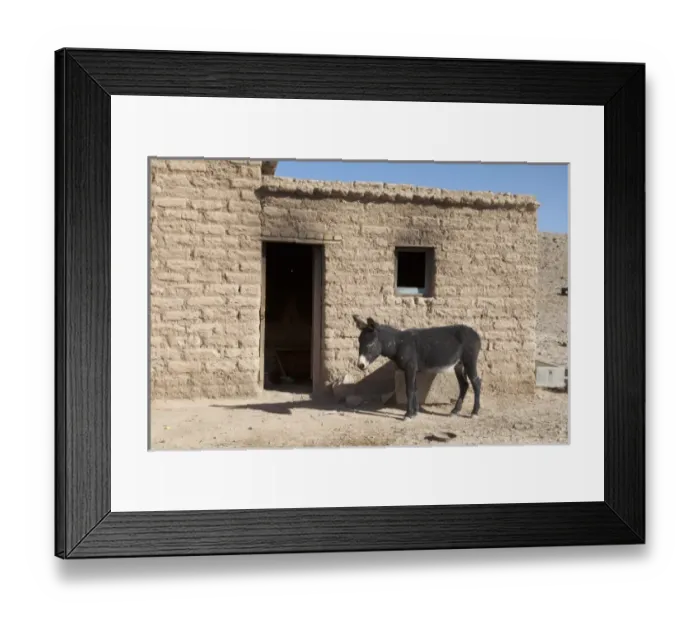 Framed Print : South America, Argentina Framed Print : South America, Argentina