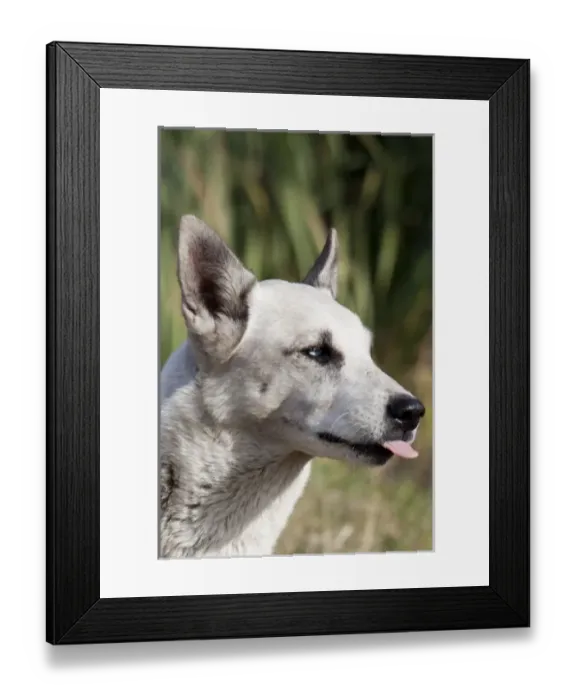 Framed Print : South America, Argentina Framed Print : South America, Argentina